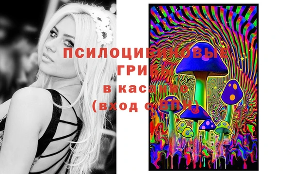 марки nbome Беломорск