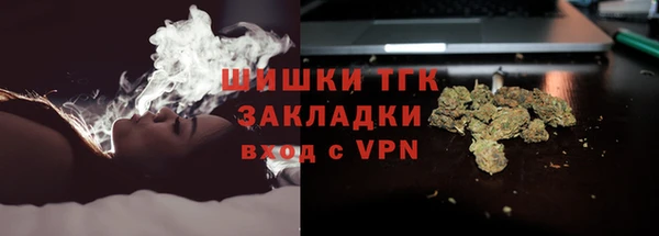 дживик Белокуриха