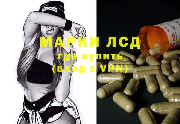дживик Белокуриха