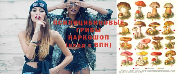 марки nbome Беломорск