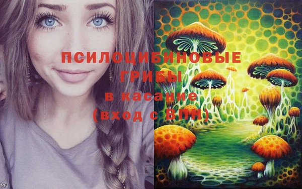 дурь Богородск