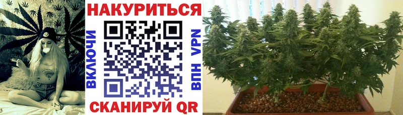 МЕГА ссылки  Балахна  Канабис семена 